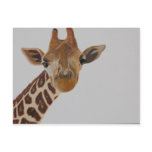 Giraffe Portrait Postcards
