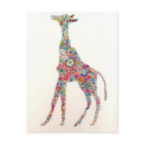 Giraffe Postcards