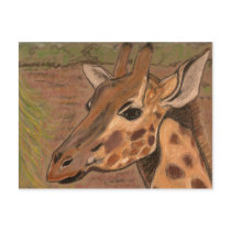 giraffe post card