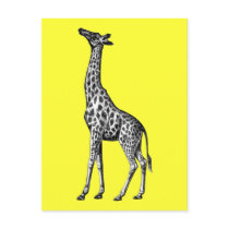 Giraffe Postcards