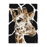 giraffe postcards