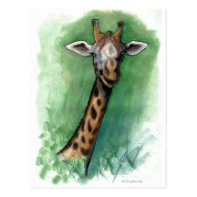 Giraffe Postcard