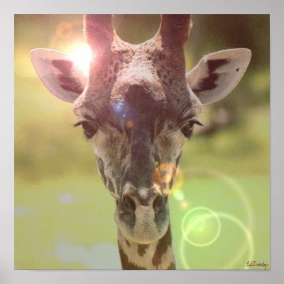 Giraffe by eunicorn
