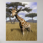 Giraffe posters