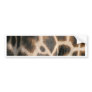 Giraffe Print Pattern Bumper Sticker