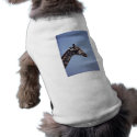 Giraffe Profile pet clothing