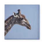 Giraffe Profile Refrigerator Magnet