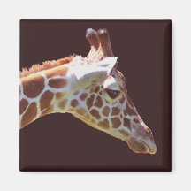 GIRAFFE REFRIGERATOR MAGNET