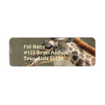Giraffe Return Address Label