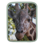 Giraffe Rickshaw Sleeve iPad Sleeve