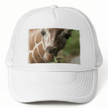 Giraffe Snack Baseball Cap Trucker Hats