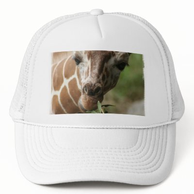 Giraffe Snack Baseball Cap Trucker Hats by WildlifeAnimals