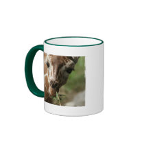 Giraffe Snack Coffee Cup Mug