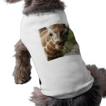 Giraffe Snack Dog Shirt