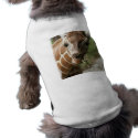 Giraffe Snack Dog Shirt pet clothing