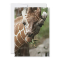 Giraffe Snack Invitation