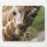 Giraffe Snack Mouse Pad