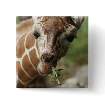 Giraffe Snack Square Pin