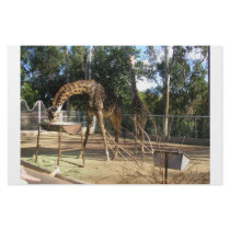 giraffe custom stationery