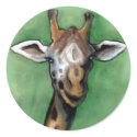 Giraffe stickers