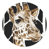 giraffe