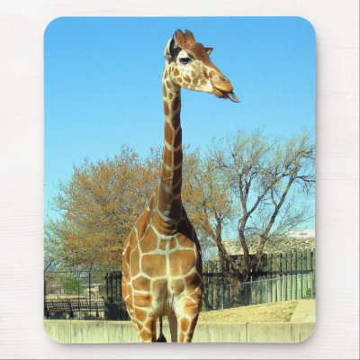 GIRAFFE STICKING IT'S TONGUE OUT by dgpaulart