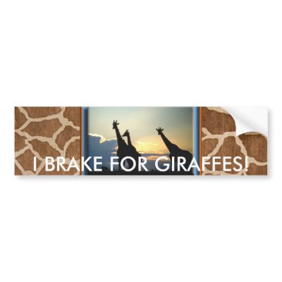 GIRAFFE SUNSET BUMPER STICKER by WildOnes