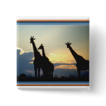 GIRAFFE SUNSET PINBACK BUTTONS