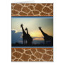 GIRAFFE SUNSET GREETING CARD