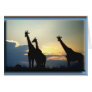 GIRAFFE SUNSET CARDS