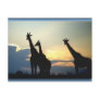 GIRAFFE SUNSET POST CARD