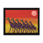 Giraffe Sunset Postcards