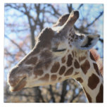 Giraffe Tile or Trivet tiles