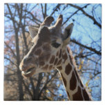 Giraffe Tile or Trivet tiles