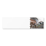 Giraffe Tongue Bumper Stickers