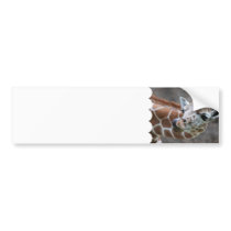 Giraffe Tongue Bumper Stickers