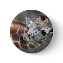 Giraffe Tongue Button