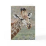 Giraffe Tongue Greeting Card