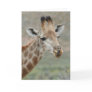 Giraffe Tongue Greeting Card