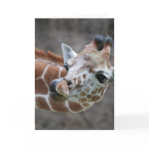 Giraffe Tongue Greeting Cards