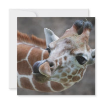 Giraffe Tongue Invitations