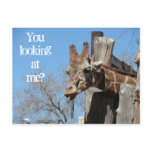 Giraffe Tongues postcards