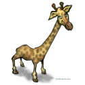 Giraffe t-shirts
