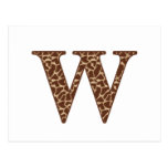 Giraffe W Post Cards