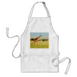 Giraffe walking in Kenya Apron