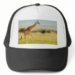 Giraffe walking Masai Mara Plains in Kenya hat blk