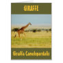 Giraffe walking Masai Mara Plains, Kenya card