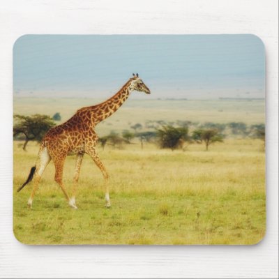 Giraffe walking Masai Mara Plains Kenya mousepad by Rowood