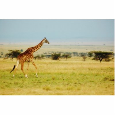 Giraffe walking Masai Mara plains, photo sculpture by Rowood