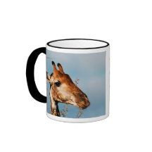 Giraffe wild animal calendars coffee coffee mug